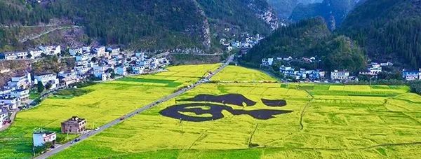 Fdxf(wn)兲лM 퍝Mɽˮӳ