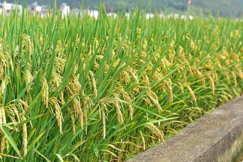 ߮a1163.45 dxˮyaɿϲ