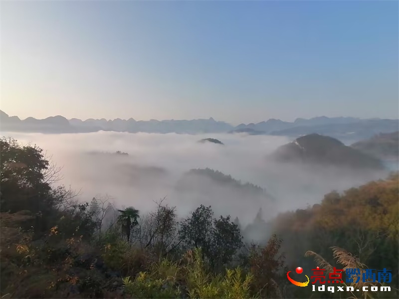 dxо(zhn)uʯֳF(xin)ƺ