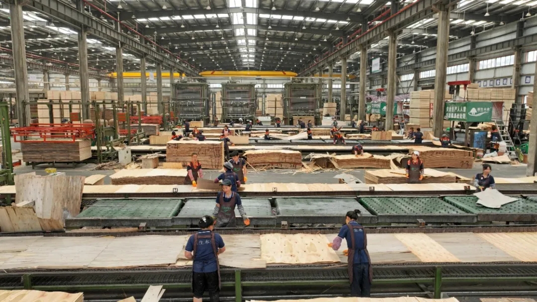 dxԸ|(zh)l(f)չy(tng)ȫ Ƅ(dng)dI(y)(qing)hһwl(f)չ