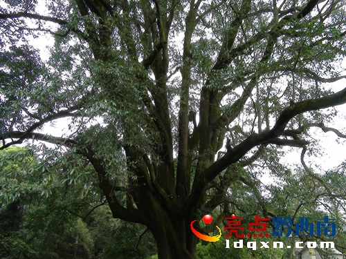 հѩl@FǧŘ䡪ɽЦ(D)